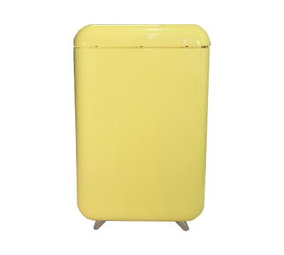 China Because-45F COMPRESSOR Retro Plastic Solid Door Refrigerator Compressor Cooling Mini Cooler Beauty Fridge Hotel Refrigerator Hotel for sale