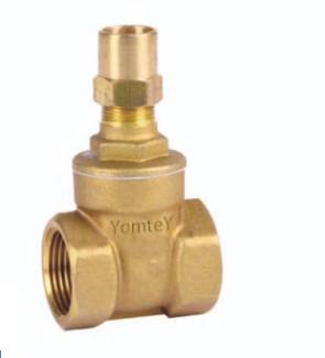 China Yomtey Brass gate valve for sale