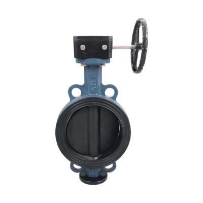 China Industrial Cast Iron Soft Seal Manual Mini Flanged Gear Operated Butterfly Valve for sale