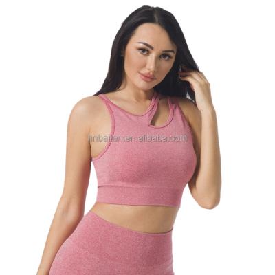 China China Factory Price OEM & ODM Manufacturer Breathable Good Quality Gym Yoga Bra 3 Color Sports Seamless Sexy Bra For Women Fitness for sale