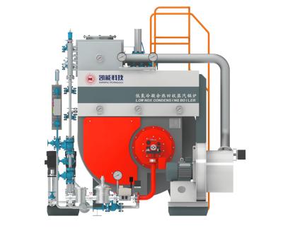 Chine Émission de NOx à mazout de chaudière à vapeur de WNS 4T basse/chaudières de gaz de condensation à vendre