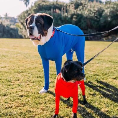 China Amazon Hot Sale Viable Dog Jumpsuit Onesie/Grooming Recovery Suit Pet Jumpsuit Jumpsuit For Large Dogs Dog Clothes Apparel for sale