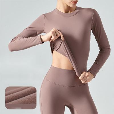 China Autumn And Winter Ladies Sports Breathable Fitness Keep Warm Tight Jacket Women Running Long Thin Fleece Sleeve Yoga Top for sale