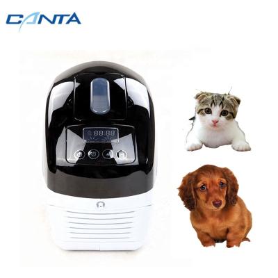 China Intelligent Self-Diagnosis Portable Mini Oxygen Concentrator System CE Approved Digital System Medical Home Use Car Or Pets Use Low Noise for sale