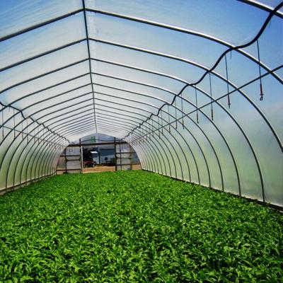 China UV Resistant PE Pe Greenhouse Film For Farm And Garden for sale