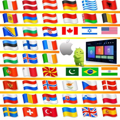 China NEW Iptv OEM/ODM subscrp 12month Android box iptv panel with free trial xxx hot sale products for sale