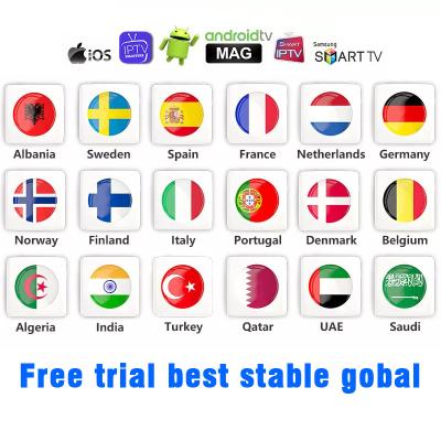 China OEM/ODM iptv panel with credits free trial iptv box m3u list with reseller panel iptv hot sale products for sale