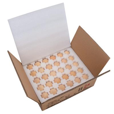 China Custom high density transport protection Egg packaging die cut EPE foam zu verkaufen