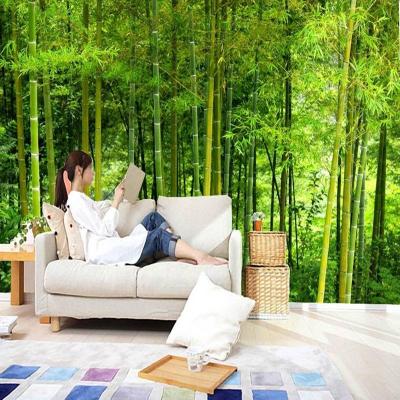 China Modern Custom Bamboo Forest Wallpaper 3D Nature Landscape Wallpaper Mural, Living Room TV Wall Bedroom Decor Home Wallpaper for sale