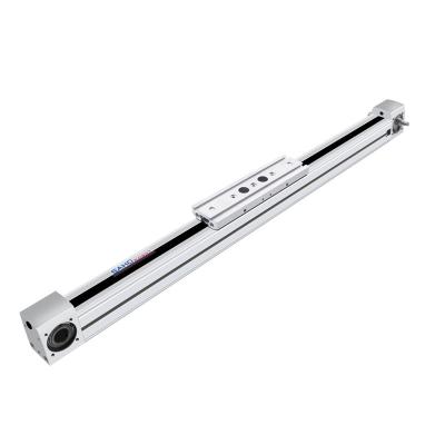 China Bonding High Quality Cheap Belt Driven Robot Motor Trigger Price Aluminum Linear Guide Rail for sale