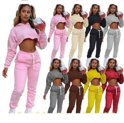 China W2 2021 Hot Women's Casual Outfits Long Sleeve Solid Color Sweatsuit Cropped Hoodie Street Wear Two Piece Set for sale