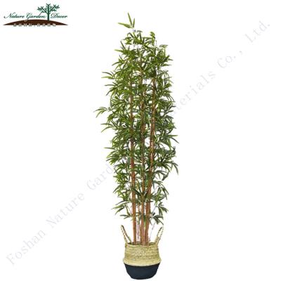 China Environmental Friendly Wholesale Plastic Bamboo Outdoor Tree Decor Artificial Plants for sale