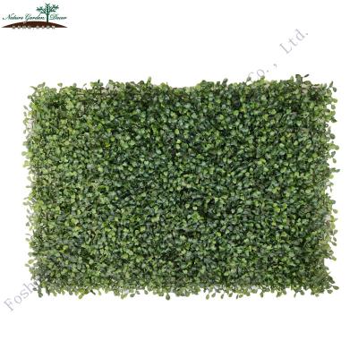 China Environmentally Friendly Outdoor / Indoor UV Protected Artificial Grass Wall Boxwood Hedge Fake Backdrop for sale