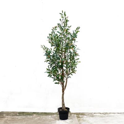 China 1.8M Environmentally Friendly Decorative Artificial Plastic Bonsai Plants Olive Trees Olive Trees for sale