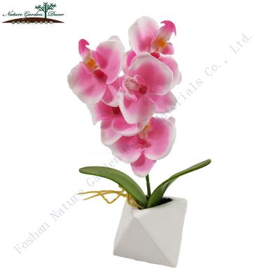 China Real Touch Environmental Friendly Phalaenopsis For Shop Home Decoration Silk Artificial Orchid Plants for sale