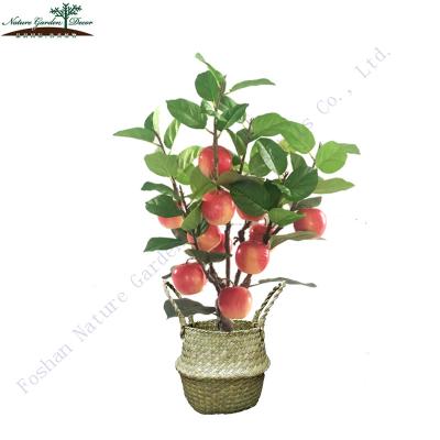 China Environmental Friendly Mini Tropical Indoor Decor Plastic Apple Plants Fruit Trees for sale