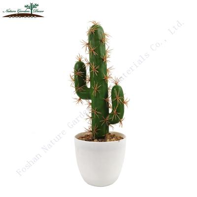 China Environmental Friendly Wholesale Supplier Fake Bonsai Plants For House Decortaion Mini Artificial Cactus for sale