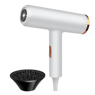 China Quick-Drying 700w Hair Care Ionic High Wind Silent Design Ion Hair Dryer for sale