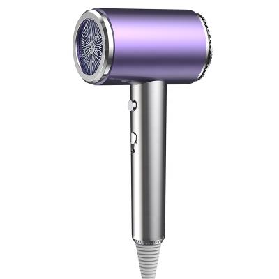 China Design Noise Reduction Ion Hair Dryer Professional Ionic Light Luxury Electroplating Negative Professional Hair Dryer for sale