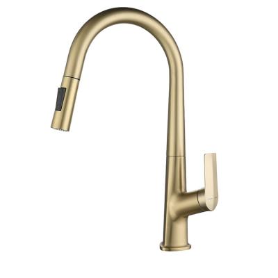 China Pull Out New Spray Style Sink Faucet Mixer Tap Kitchen Faucets With In Stock for sale