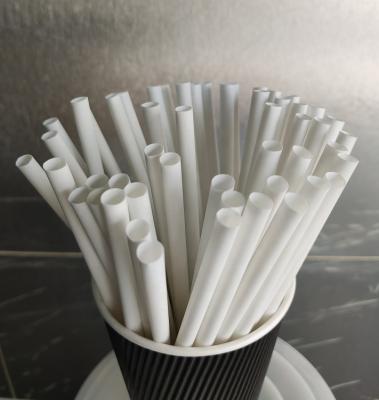 China 100% PLA Drinking Straws Biodegradable Natural Eco Friendly Compostable Straw for sale