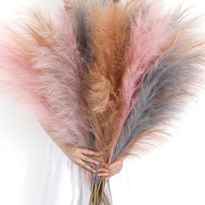 China Fake Artificial Flower 18 Fork Style Pampas Grass Belle Cream Pink Color For Home Decor And Wedding Decor for sale