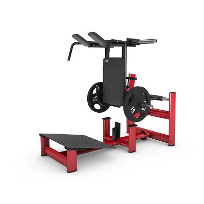 China Factory direct sales exercise machine modern commercial gym equipment super squat for sale