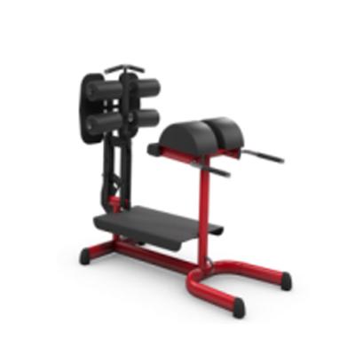 China High Quality Commercial Gym 80 Extension Machine Low Back Price Commercial Fitness Equipment for sale