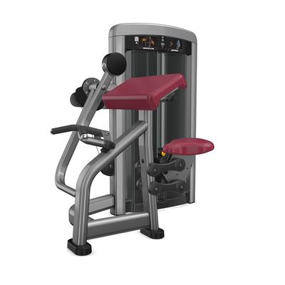 China Commercial Use Wholesale Strength Machine Biceps Curl Gym Fitness Equipment For Bodybuilding for sale