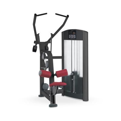 China Commercial Use Gym Center Muscle Training Equipment Lower Commercial Gym Equipment For Bodybuilding for sale