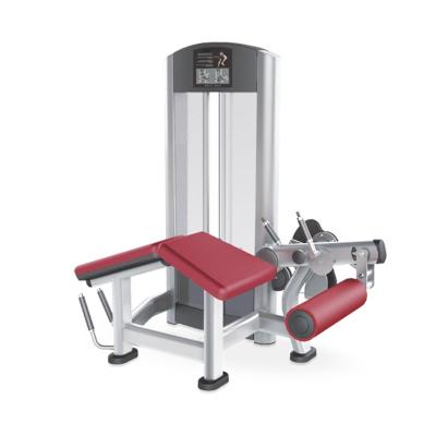 China Commercial high quality strength training equipment prone leg fitness use leg curl gym machines for sale for sale