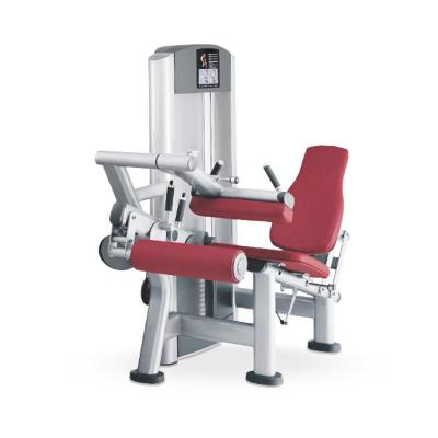 China Commercial Use Leg Training Gym Leg Curl Equipment Commercial Wholesale Equipment Seated Machine For Commercial Us for sale