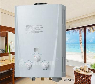 China Hot Selling Stainless Steel 6L To 8L 10L 12L Forced Type Gas Water Heater for sale