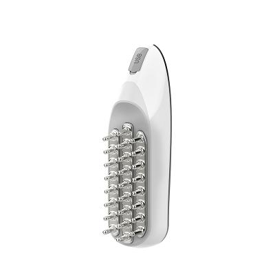 China Multi Speed ​​Adjustment EMS RF Microcurrent Scalp Head Face Scalp Massage Head Brush for sale