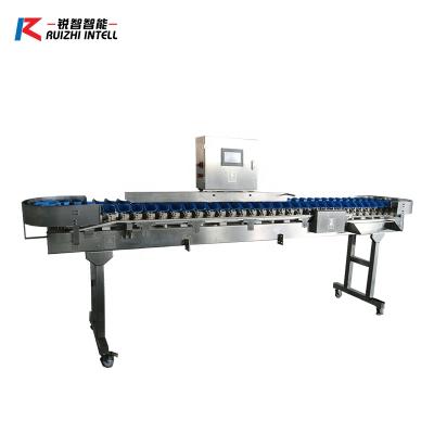 China Automatic Chicken Crab Shrimp Seafood Sorter Fish Weight Accurate Sorting Grading Machine for sale