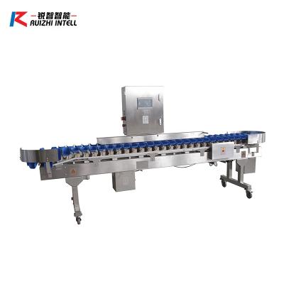 China SNACKS FACTORY SALES FACTORY OUTLET FRUIT SORTER TOP WEIGHT MATCHING EQUIPMENT PINEAPPLE GRADING MACHINE for sale