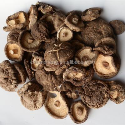 China Black nightshade mushroom slice dry dehydrated price dried shiitake mushroom export dry slice for sale