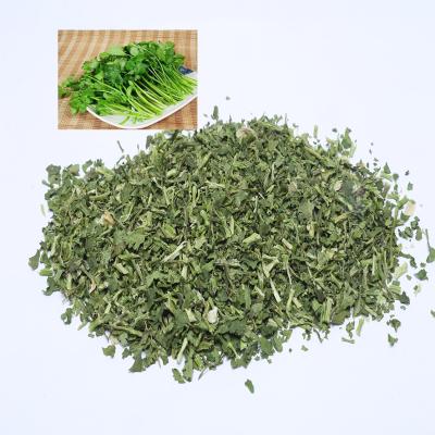 China Factory Supply Low Manufacturing Price Dried Parsley Extract for sale