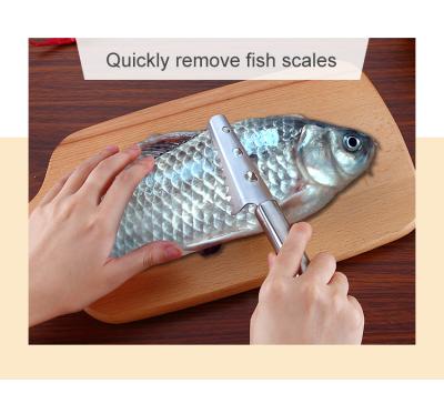 China Viable professional fish scale remover tool, stainless steel double saw teeth for quick peeling of scales for sale