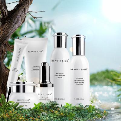 China Anti Aging Nicotinamide Essence Fullerene Private Label OEM ODM Face Hydration Care Set Lighting Whitening Private Label Skin Care Set for sale