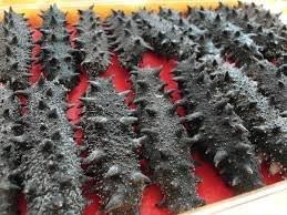 China Sun Dried Sea Cucumber 3-7MM for sale