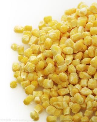 China FROZEN Instant Ingredients Frozen Corn Kernels Taste Sweet for sale