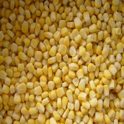 China Frozen corn kernels for sale