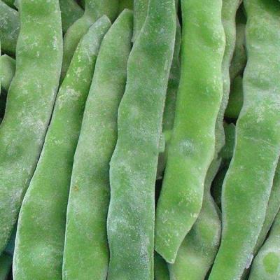 China Northeast China Dry Frozen Oil Beans Farmers Grow Fresh Vegetables Restaurant Ingredients for sale