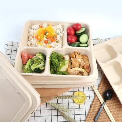 China High Quality Biodegradable Biodegradable Disposable Lunch Box Paper Takeaway Food Disposable Container for sale