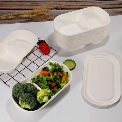 China Customized Disposable Food Containers Biodegradable Fast Food Packaging Take Out Fast Food Box for sale