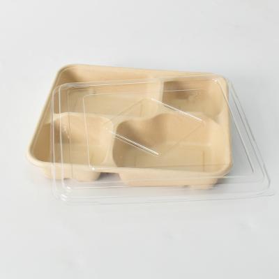 China Newest Disposable Take Away Disposable Food Wrapping Paper Sugar Cane Lunch Box for sale