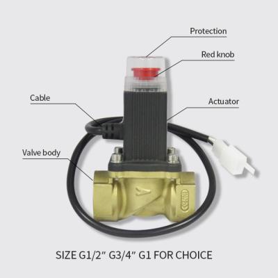 China Manual Reset Automatically Cut Out Gas Leakage Solenoid Valve For Alarm System for sale