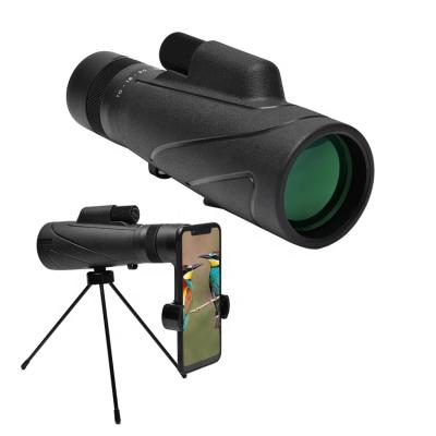 China Telescopio 10-30x50 binacular rifle starscope telescope hunting bird watching high power reflector moving monocular for wildlife viewing for sale