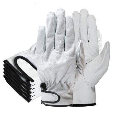 China Plain Skeep Skin Leather Gloves Household Palm Working Gloves Reinforced For Garden Work Yardwork for sale